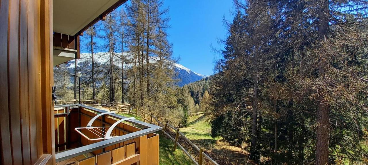 Stelviostay Residence Stelvio Вальдизотто Экстерьер фото